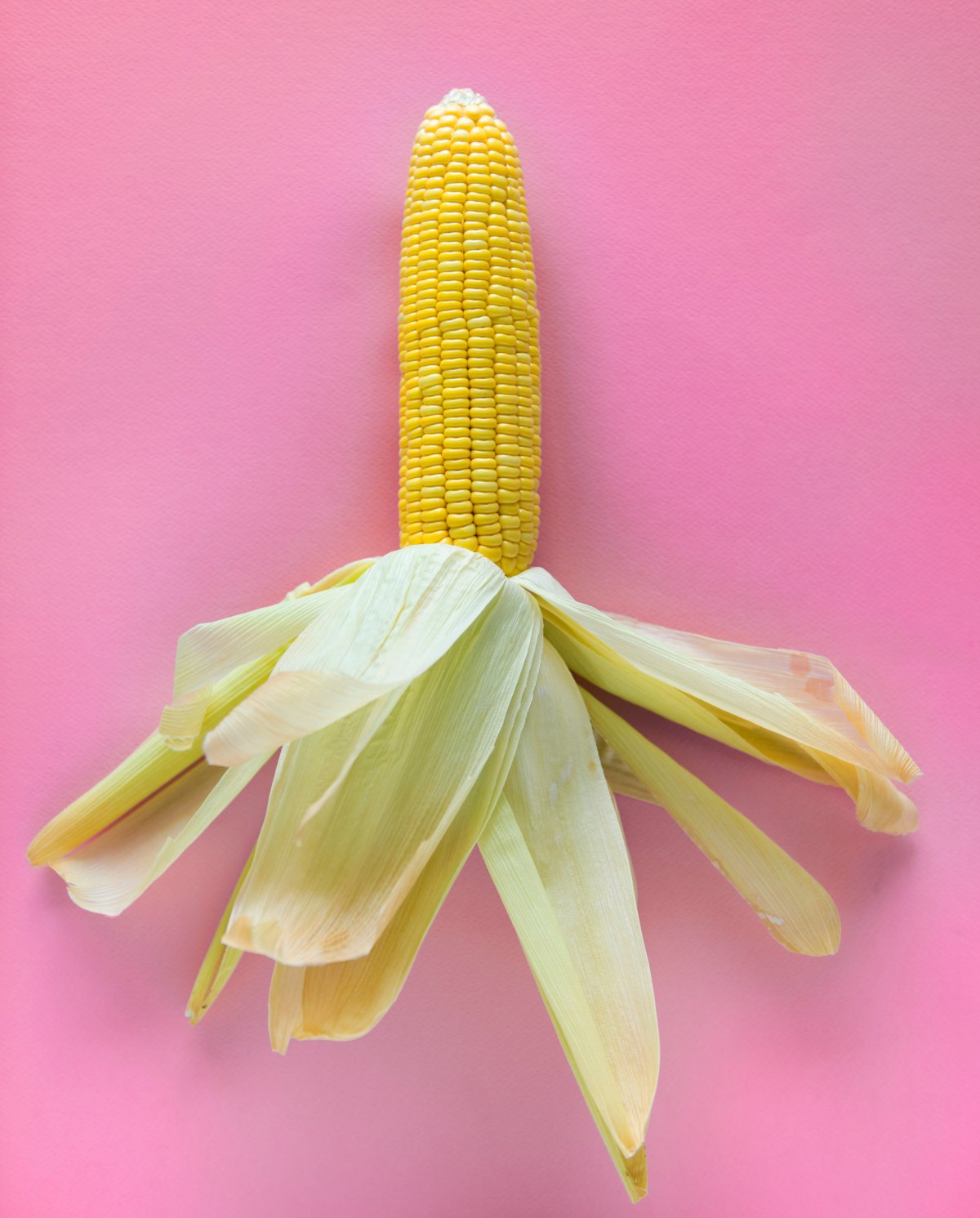 Know Your Ingredients: The Many Names of Corn